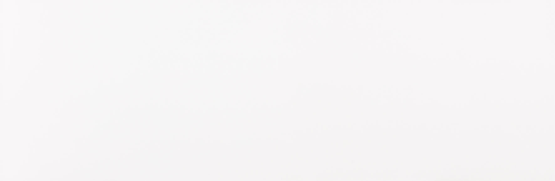 Daffen20Blanco2033_3x100-1.jpg