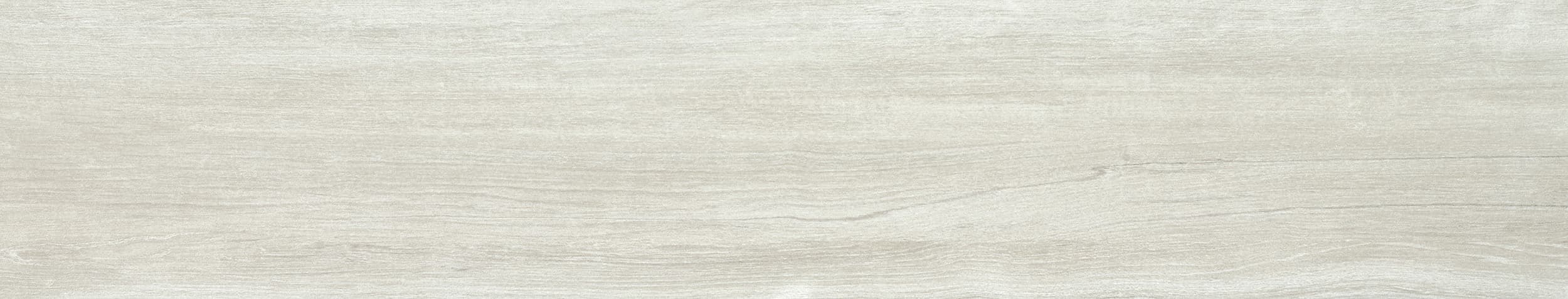 Vilema_Blanco_23x120.jpg